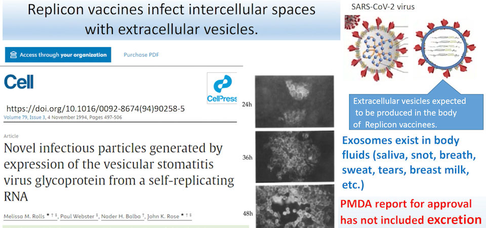 Replicon vaccines infect...