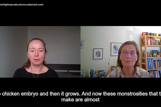 Sasha Latypova interjú