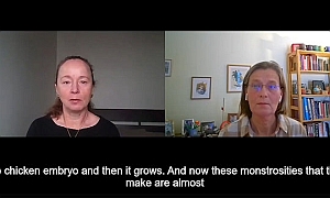 Sasha Latypova interjú