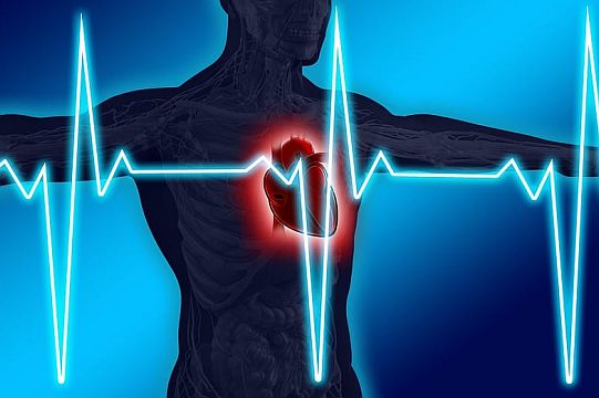 szív. szívverés illusztráció